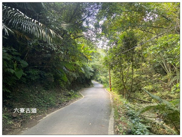 獅山五連峰 (猿山、六寮山、獅尾山、獅頭山、玖玖山)2871335