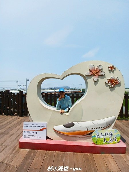 【台中外埔】高鐵觀景台、綠樹成蔭下賞桐花。 外埔水流東桐花步道2136902