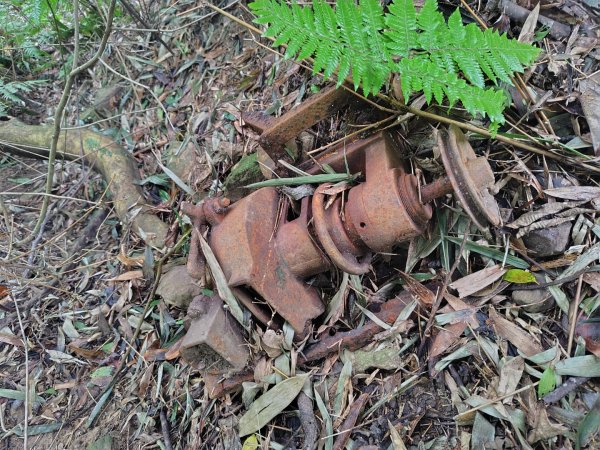 鳳鳴古道 鳳鳴山 南隘勇（南長城）古道 三湖山 八達嶺（龍骨）古道 綠色古道 延平古道2975330