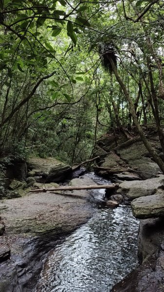 2025/7/5 雲森瀑布群2839220