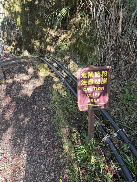 20251225塔山步道(大塔山)2970371