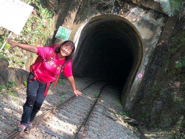 獨立山國家步道之小火車之旅、大巃頂步道1191313