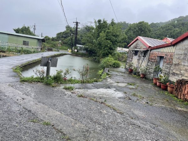 台北大縱走第四段2798724