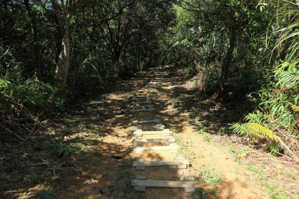 〔石碇〕鱷魚島🐊🐊🐊，晴空萬里下的萌萌淡碇鱷   最美。石碇 千島湖 土虱頭  永安景觀步道2213358
