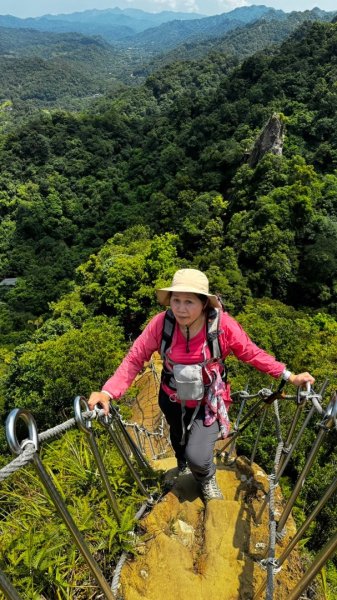 孝子山、普陀山、慈母峰賞鹿子野百合O走2592944