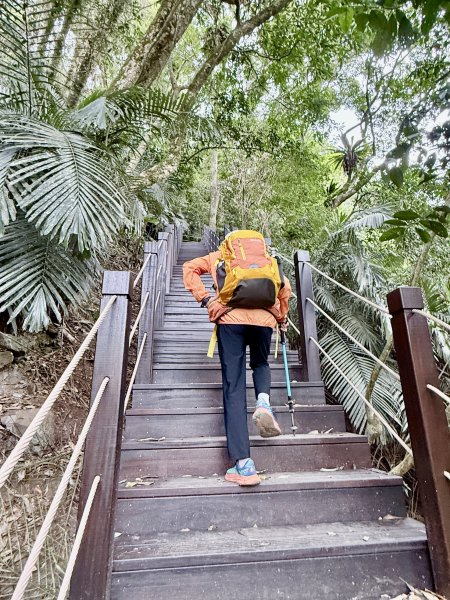 雪山坑步道悠遊順訪雪山坑山(再訪)  2025.12.32953738