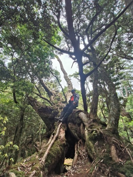 1130511夫拉縱走2500162