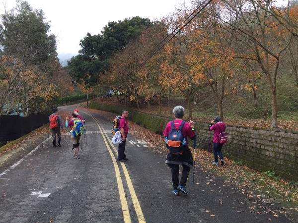 20151226泰安鄉熊佧山27734