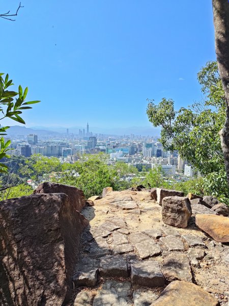 20260315金面山3015571