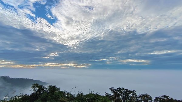 苗栗馬那邦/天然湖&薑蔴園 #星空月圓 #琉璃光雲海 #雲瀑 11/142647505