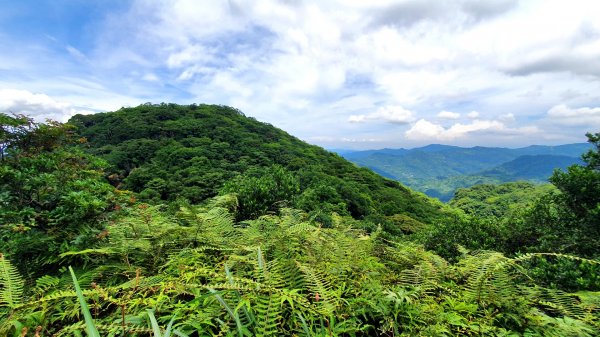 北投大砲岩，石壇山，三芝大屯溪古道，三板橋，三峽白雞山，雞罩山，石門內尖山，中和外員山，中坑山東北峰1738150