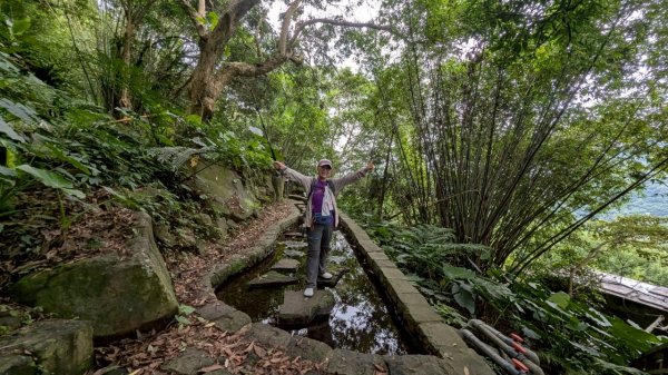 114.06.01溪山百年古圳-太平尾山+聖人崙之旅2801864