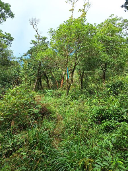 礁溪烘爐地山202509282900326