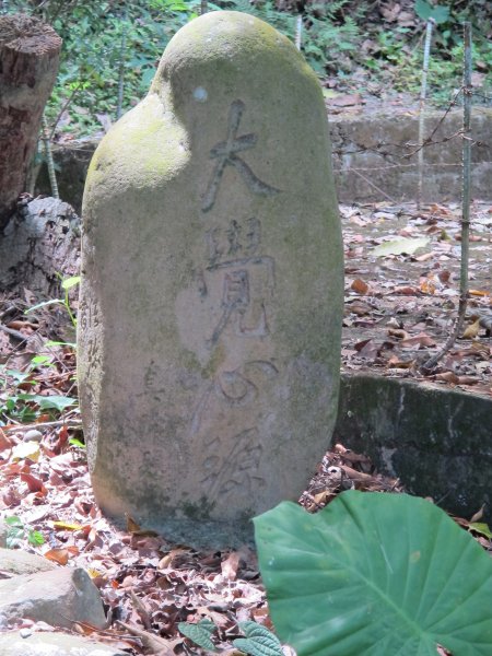 毘盧禪寺步道942239