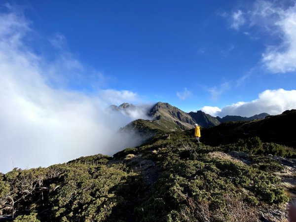 玉山後四峰-不同角度看玉山、圓峰雲海964358