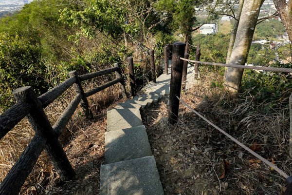 觀音山｜大社觀音山小百岳3002722