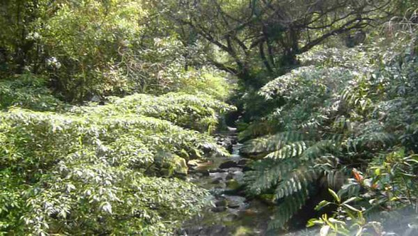 滑瀑、峭壁、溯溪～暖東峽谷1288928