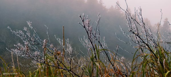 #太平山 #望洋山 #霧淞 1/222986035