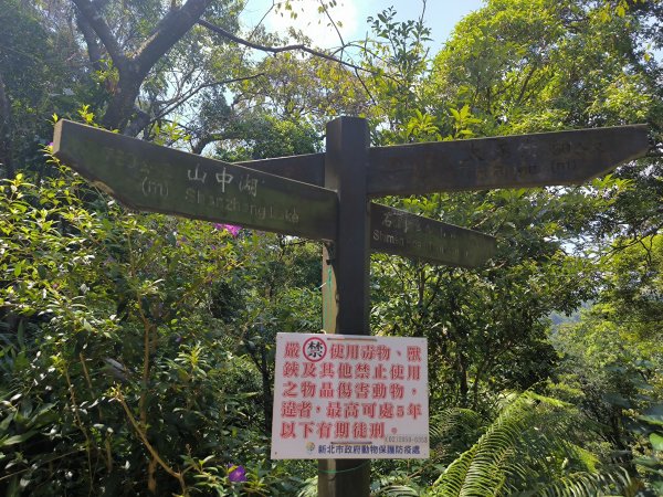 20250830天上山、旺旺嶺、太極嶺2874079