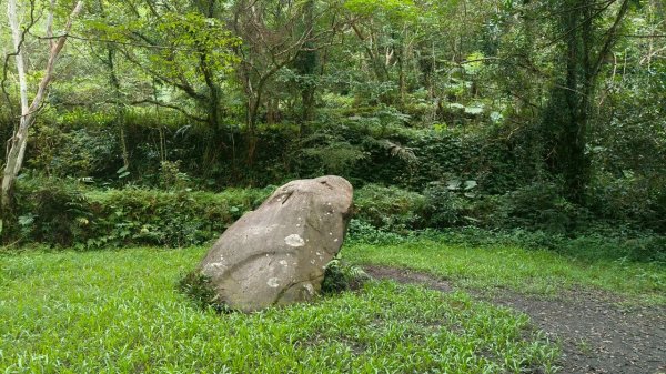 淡蘭古道第三段（我的淡蘭最終章）2838786