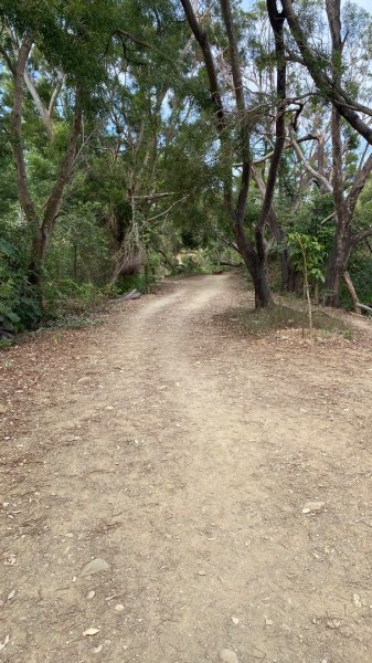 尚書林山步道(鳳凰山)2730904