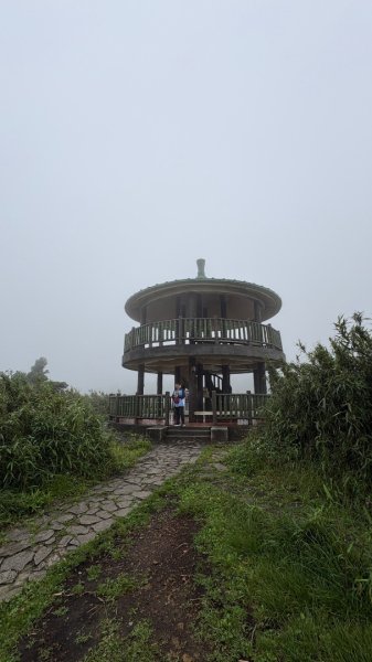 夢幻七星3074406