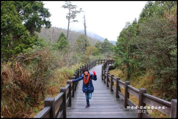 宜蘭大同。太平山翠峰湖環山步道