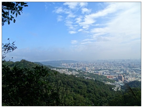 大同山步道/青龍嶺751947