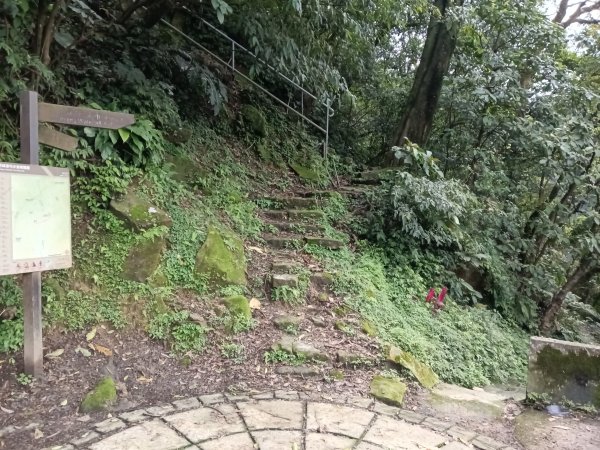 大尖山櫻花-龍船洞-秀峰瀑布2733723