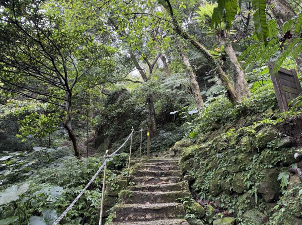 [微笑山線_第四段] 2026_0321 天上山系_天上山3020975