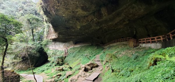 2023-01-01杉林溪青龍蕨類步道(青龍瀑布)、松瀧岩瀑布及天地眼步道1978879