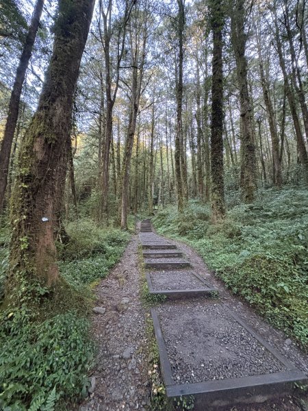 20251225塔山步道(大塔山)2970268