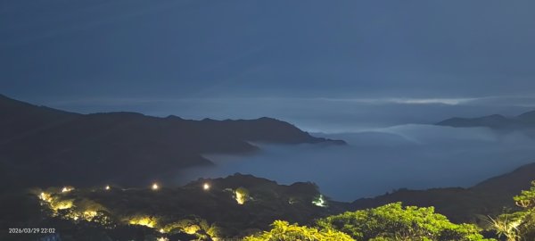 雲山水花鳥蝶-天龍國阿伯的日常 3/29-303026176