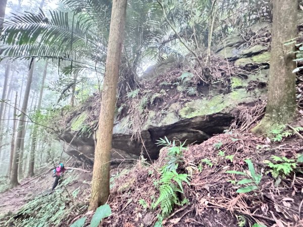 光天高山 - 向天湖山(小百岳32) 小O一圈2876745