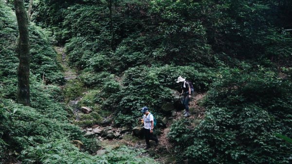 小觀音山O型縱走｜台北抹茶山1015102