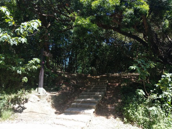 南港山及九五峰676192