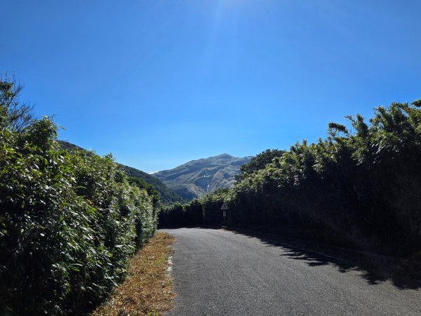 大屯主峰-連峰步道環形（小百岳）2904316