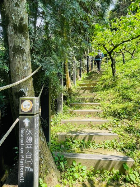 1110410埋伏坪山（雙崎山）0501二刷vs.巨人之手1669528