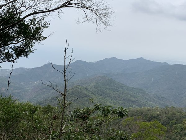 20250404屏東北獅子頭山-霧里乙山2757467