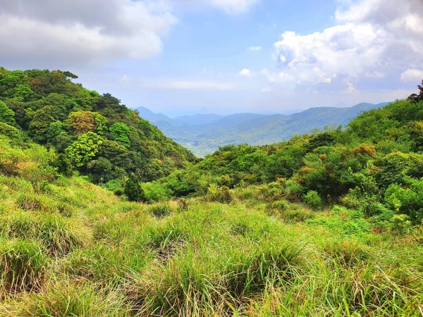 頂山，石梯嶺，竹篙山，雞心崙，五指山，梅花山，香對山，雙溪溝古道，風櫃嘴步道，土城明德山1664628