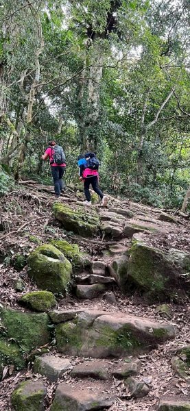 馬那邦山（珠湖登山口）2933981
