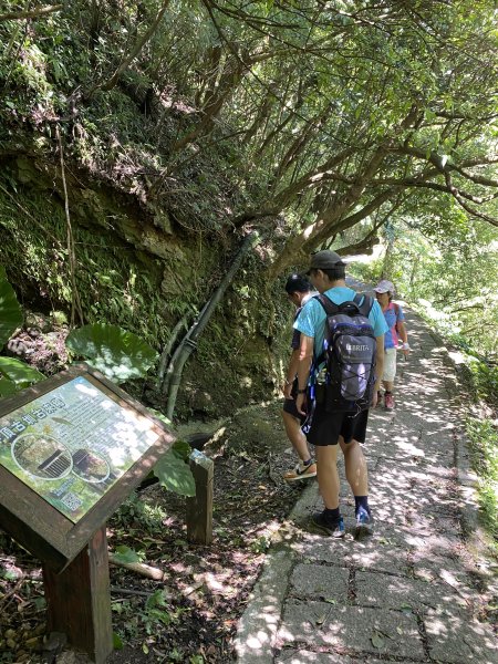 內雙溪的消暑密碼｜走一趟坪頂古圳就懂2861874