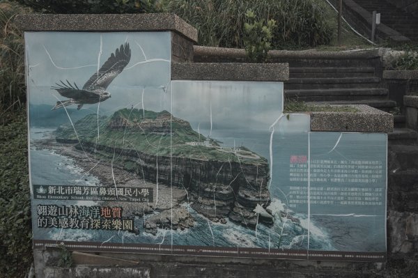 絕美的海岸地質教室｜鼻頭角步道3020676