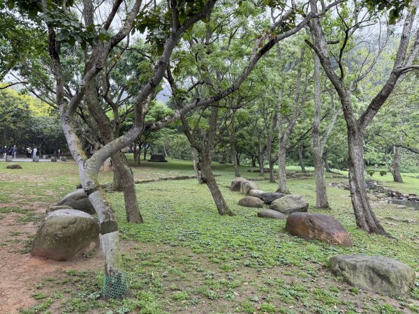 [樟之細路_第一大段RSA01] 2026_0329 三坑自然生態公園3026783