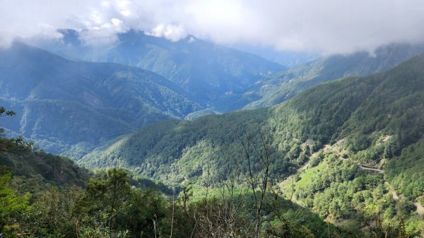 玉山前峰，關子嶺大凍山，宜蘭拳頭姆自然步道2313387