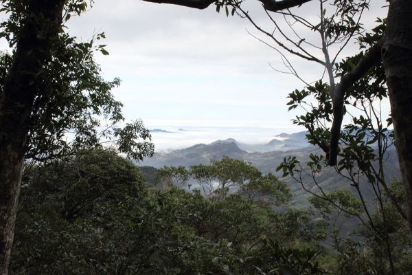 馬那邦山(珠湖線來回)375064