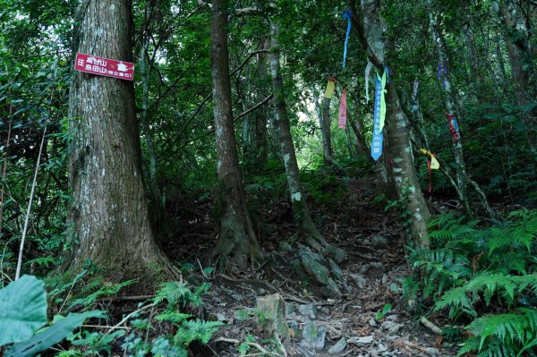 新竹 尖石 高台山、島田山2327030