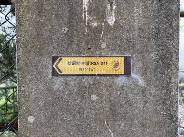 [樟之細路_第一大段RSA06] 2026_0329 打牛崎古道3027166