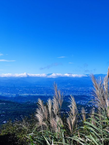 七星山二進2894952