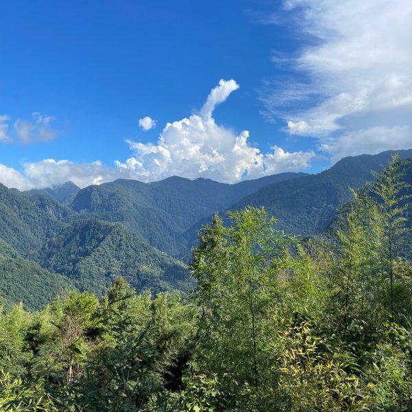 1140825司馬庫斯新巨木園區-司立富瀑布-部落觀景台2871236